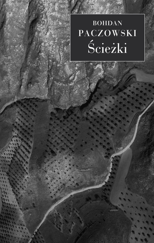 okładka Ścieżki książka | Paczowski Bohdan