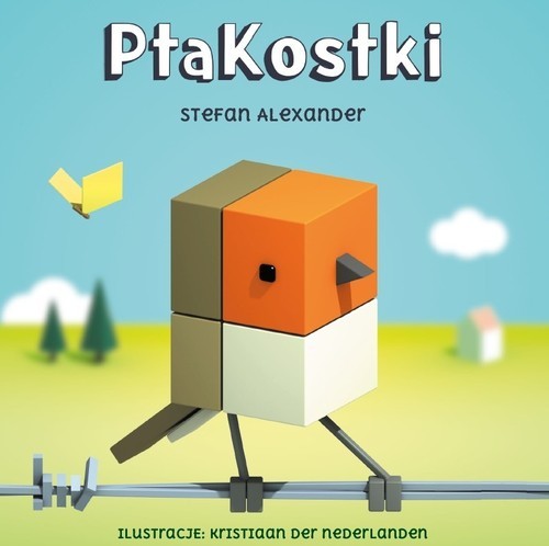 okładka PtaKostki książka