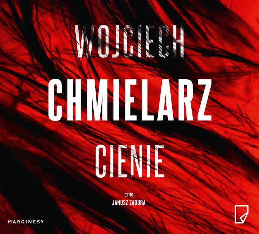 okładka Cienie audiobook | MP3 | Wojciech Chmielarz