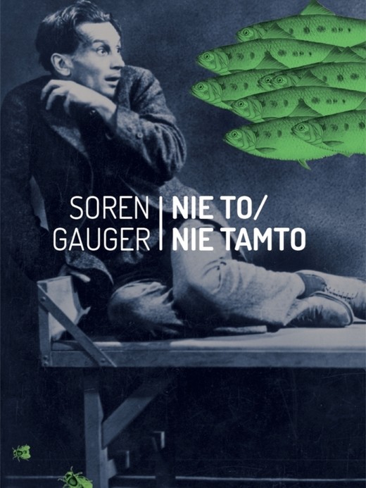 okładka Nie to / nie tamto ebook | epub, mobi | Soren Gauger