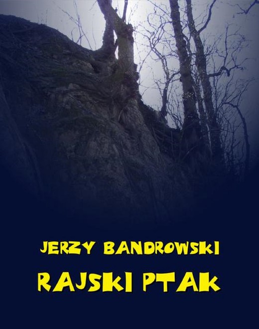 okładka Rajski ptak ebook | epub, mobi | Jerzy Bandrowski
