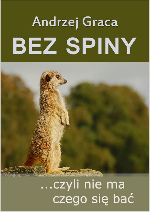 okładka Bez spiny. czyli nie ma czego się bać ebook | epub, mobi | Andrzej Graca