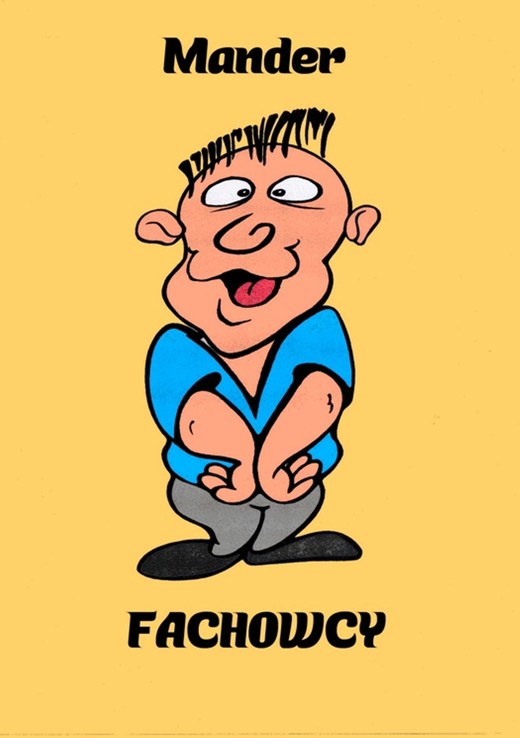 okładka Fachowcy ebook | epub, mobi | Mander