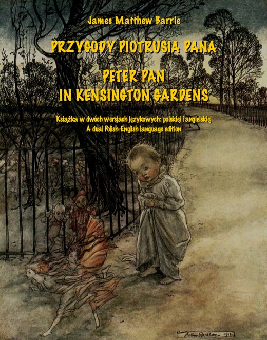 okładka Przygody Piotrusia Pana ebook | epub, mobi | James Matthew Barrie