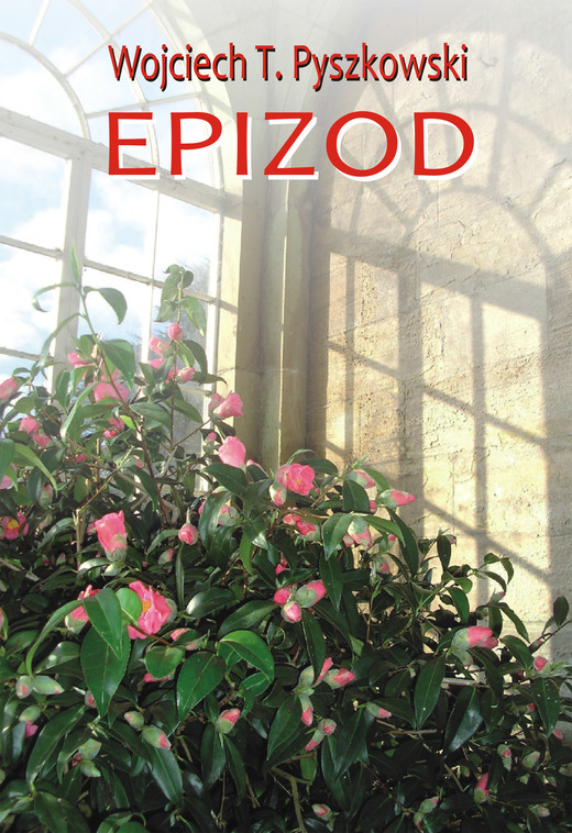 okładka Epizod ebook | epub, mobi | Wojciech T. Pyszkowski