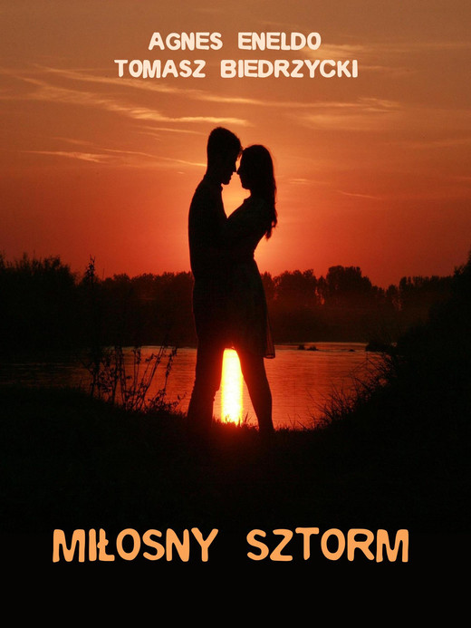 okładka Miłosny sztorm ebook | epub, mobi | Tomasz Biedrzycki, Agnes Eneldo