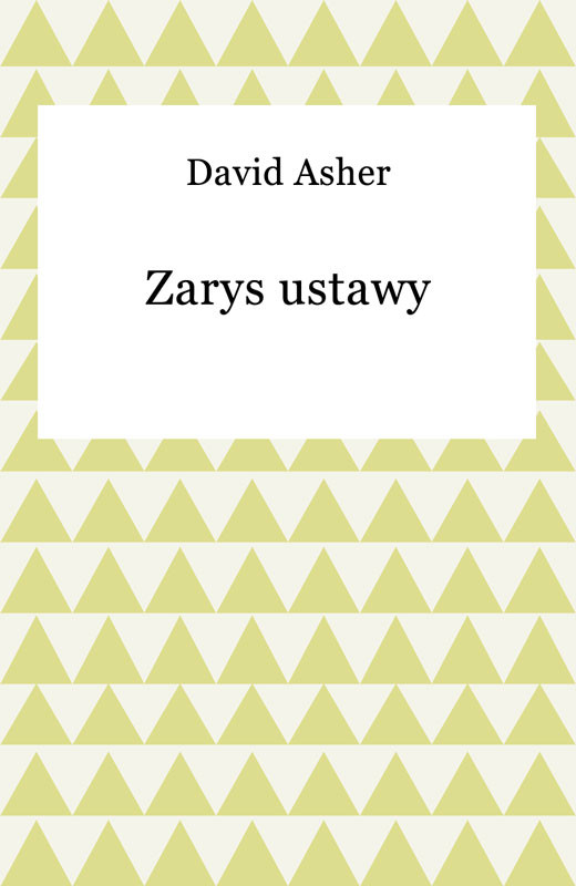 okładka Zarys ustawy ebook | epub, mobi | David Asher