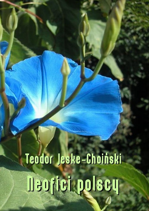 okładka Neofici polscy. Materiały historyczne ebook | pdf | Teodor Jeske-Choiński