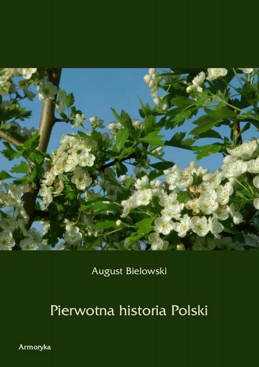 okładka Pierwotna historia Polski ebook | pdf | August Bielowski
