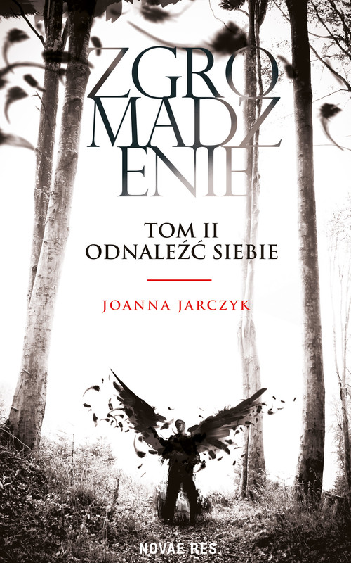 okładka Zgromadzenie, Tom II Odnaleźć siebie ebook | epub, mobi | Joanna Jarczyk