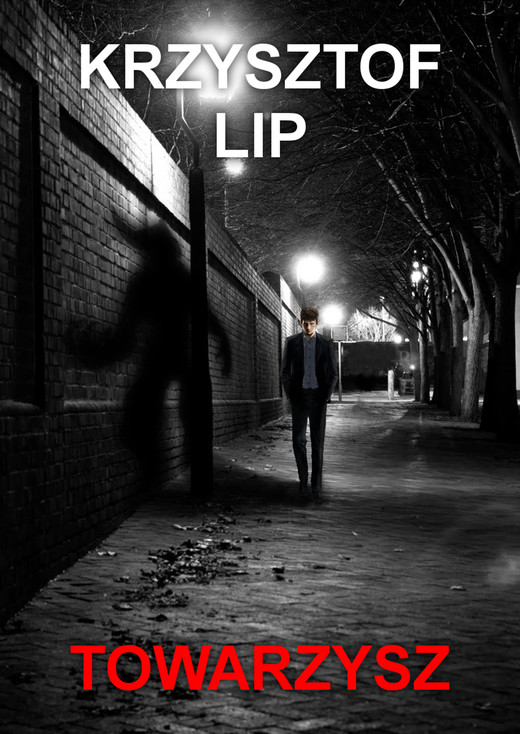 okładka Towarzysz ebook | epub, mobi | Krzysztof Lip