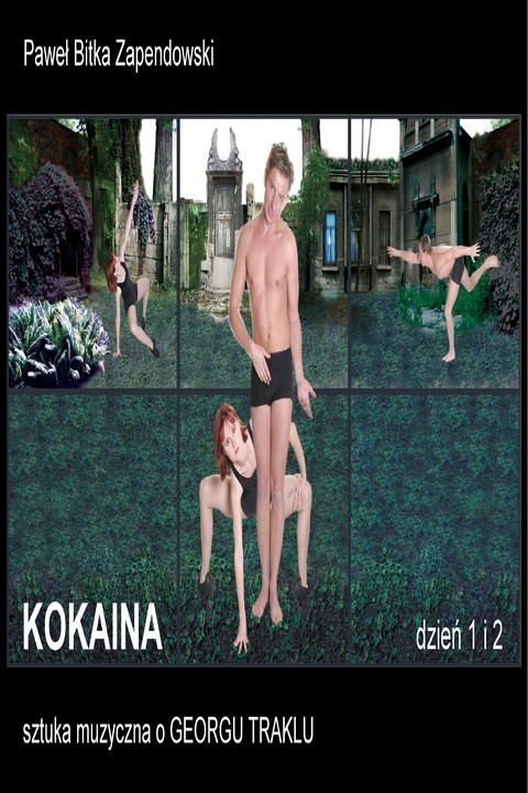 okładka Kokaina ebook | pdf | Paweł Zapendowski