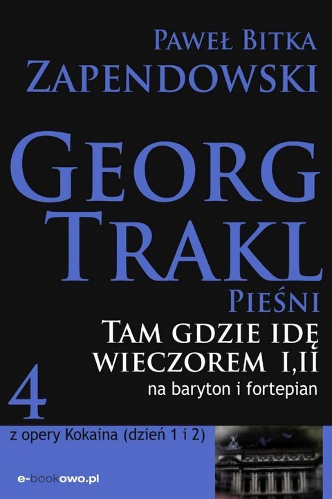 okładka Tam gdzie idę wieczorem ebook | pdf | Paweł Zapendowski
