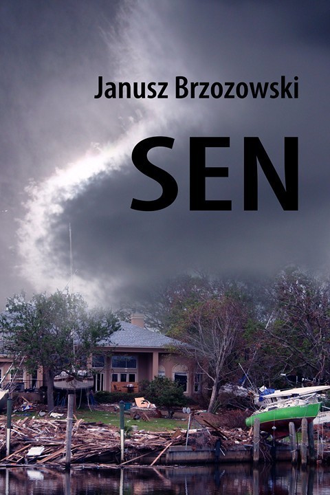 okładka Sen ebook | pdf | Janusz Brzozowski