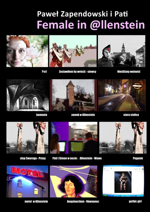 okładka Female in @llenstein ebook | epub, mobi | Paweł Zapendowski
