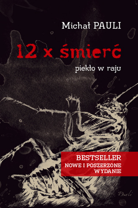 okładka 12 x śmierć ebook | epub, mobi | Michał Pauli