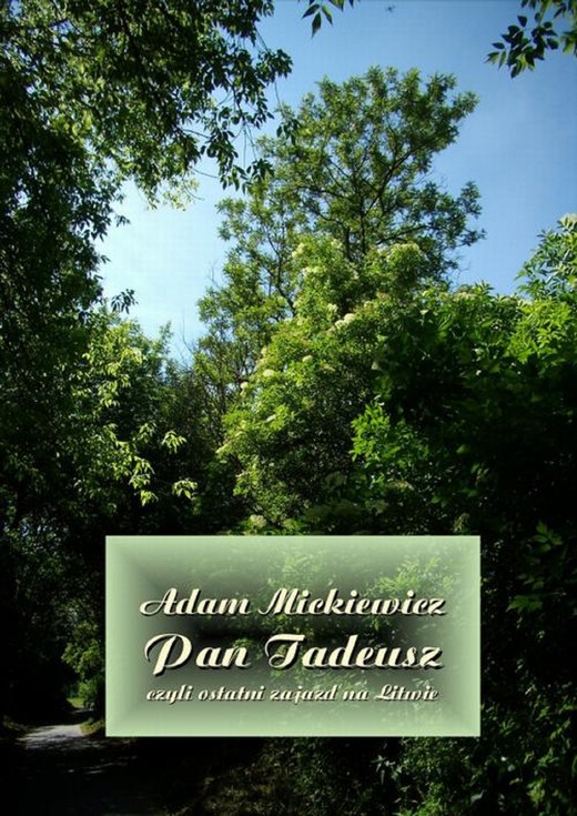 okładka Pan Tadeusz, czyli ostatni zajazd na Litwie ebook | epub, mobi | Adam Mickiewicz