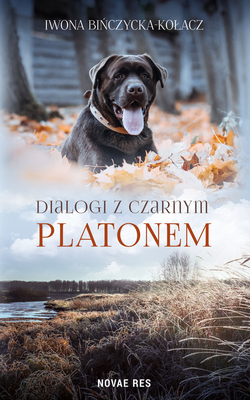 okładka Dialogi z czarnym Platonem ebook | epub, mobi | Iwona Bińczycka-Kołacz