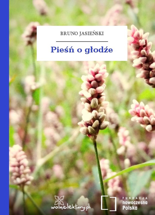 okładka Pieśń o głodźe ebook | epub, mobi | Bruno Jasieński