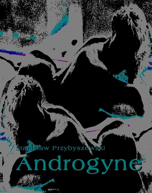 okładka Androgyne ebook | epub, mobi | Stanisław Przybyszewski