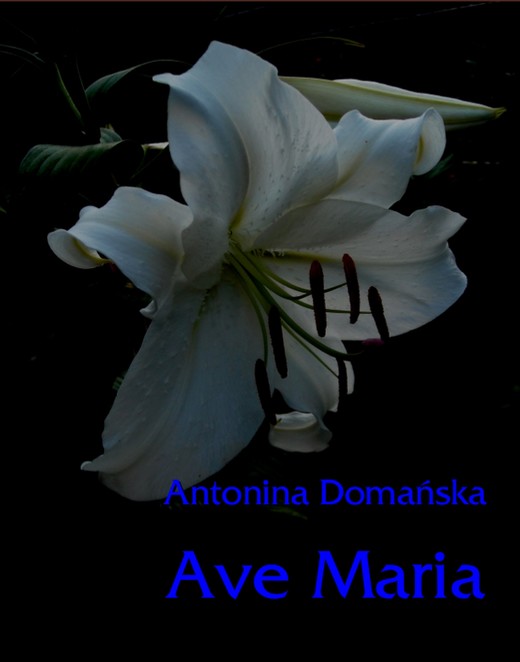 okładka Ave Maria ebook | epub, mobi | Antonina Domańska