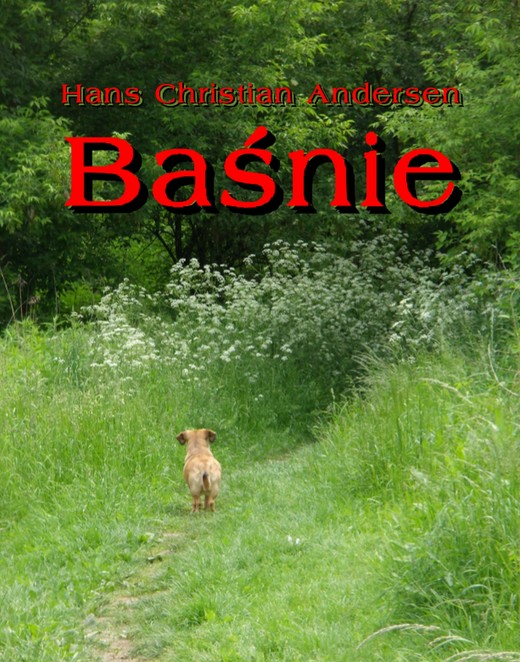 okładka Baśnie Andersena ebook | epub, mobi | Hans Christian Andersen