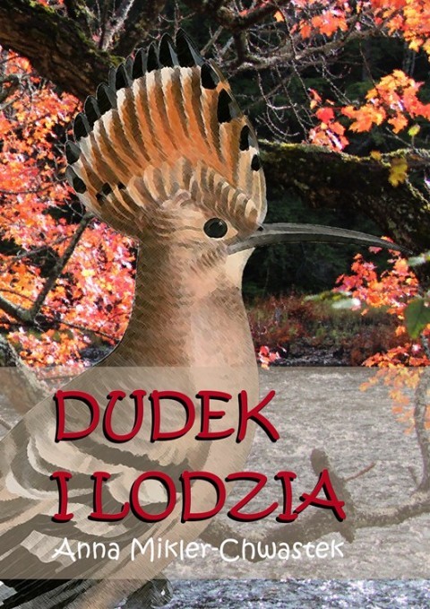okładka Dudek i Lodzia ebook | epub, mobi | Anna Mikler-Chwastek