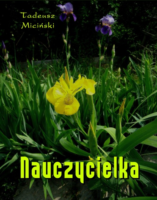 okładka Nauczycielka ebook | epub, mobi | Tadeusz Miciński