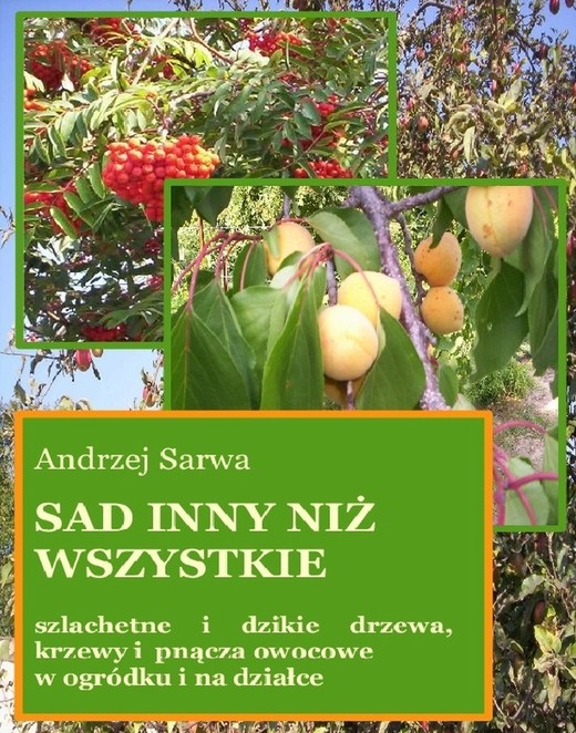 okładka Sad inny niż wszystkie ebook | epub, mobi | Andrzej Sarwa