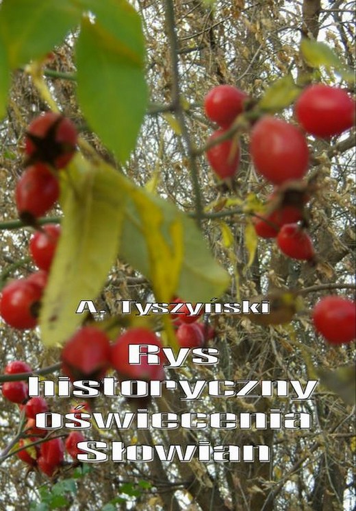 okładka Rys historyczny oświecenia Słowian ebook | pdf | Aleksander Tyszyński