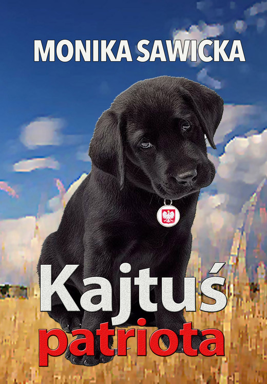 okładka Kajtuś patriota ebook | epub, mobi | Monika Sawicka