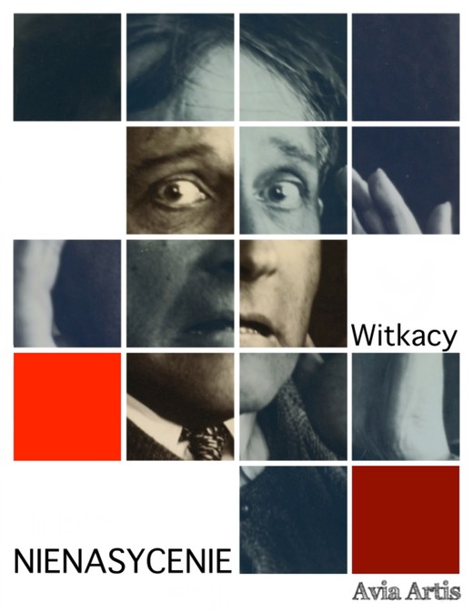 okładka Nienasycenie ebook | epub, mobi | Stanisław Ignacy Witkiewicz (Witkacy)