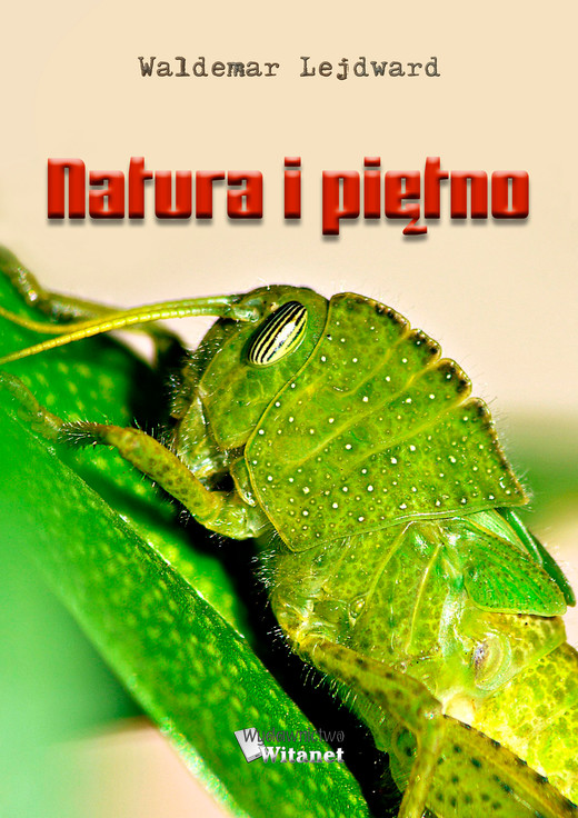 okładka Natura i piętno ebook | epub, mobi | Waldemar Lejdward