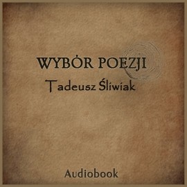 okładka Wybór poezji audiobook | MP3 | Tadeusz Śliwiak