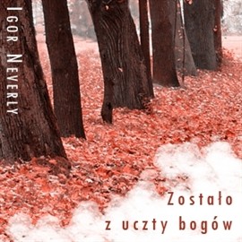 okładka Zostało z uczty Bogów audiobook | MP3 | Igor Neverly