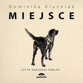 okładka Miejsce audiobook | MP3 | Kluźniak Dominika