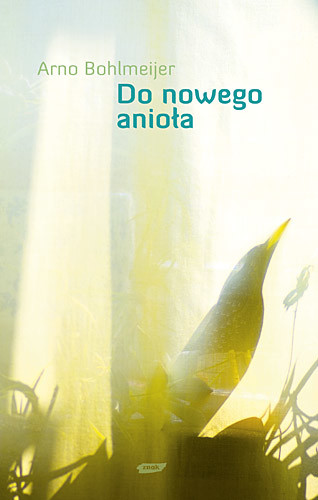 okładka Do nowego anioła książka | Arno Bohlmeijer