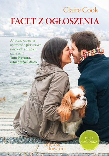 okładka Facet z ogłoszenia  książka | Claire Cook