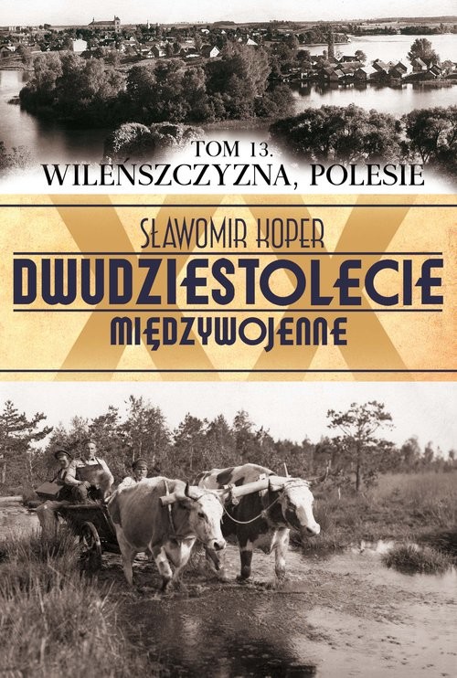 okładka Wileńszczyzna Polesie. Tom 13 książka | Sławomir Koper