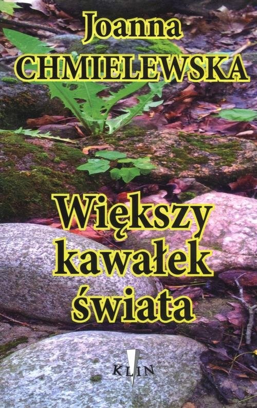 okładka Większy kawałek świata książka | Joanna Chmielewska