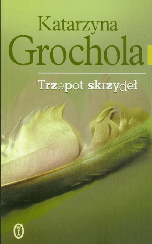 okładka Trzepot skrzydeł książka | Katarzyna Grochola