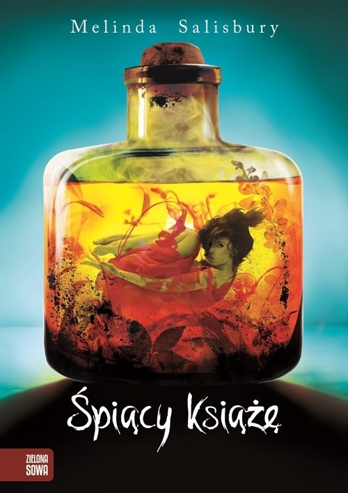 okładka Córka zjadaczki grzechów. Tom 2. Śpiący Książę książka | Salisbary Melinda