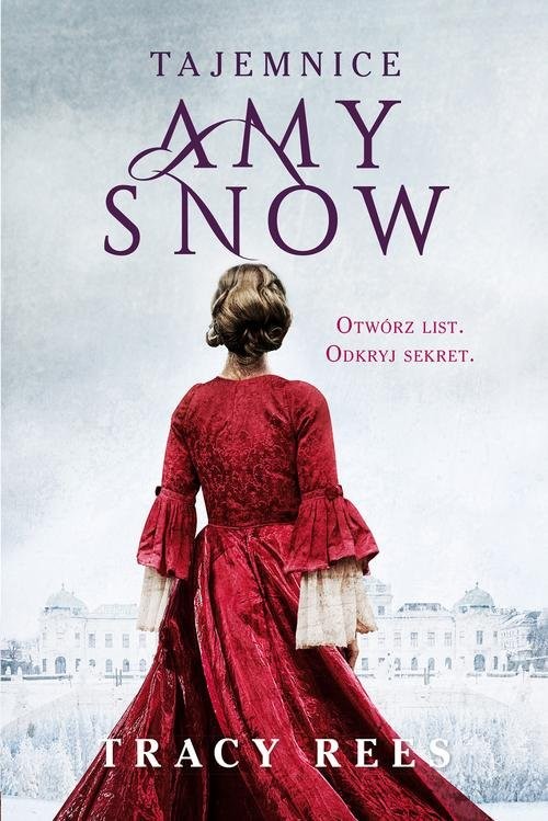 okładka Tajemnice Amy Snow książka | Tracy Rees