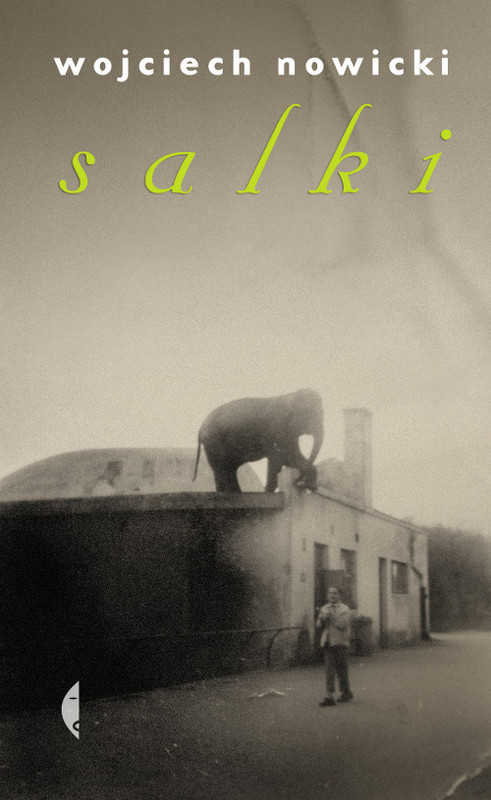 okładka Salki książka | Wojciech Nowicki