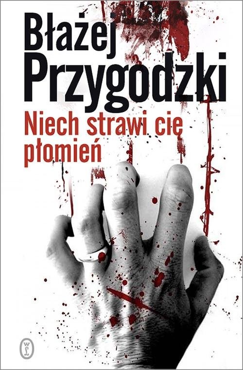 okładka Niech strawi cię płomień książka | Błażej Przygodzki