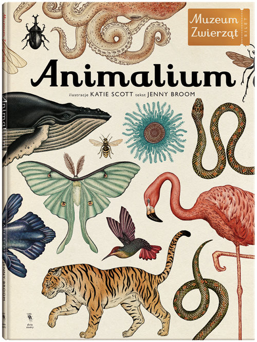 okładka Animalium Muzeum zwierząt książka | Broom Jenny