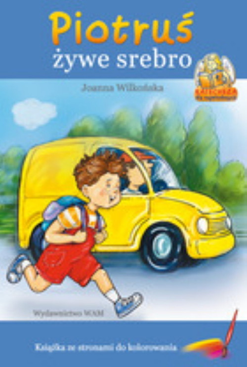 okładka Piotruś żywe srebro książka | Joanna Wilkońska