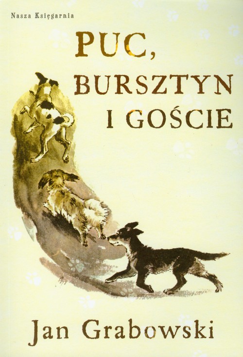 okładka Puc, Bursztyn i goście książka | Jan Grabowski
