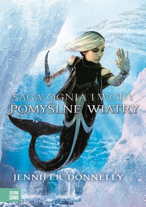 okładka Saga Ognia i Wody. Pomyślne wiatry 4 książka | Jennifer Donnelly
