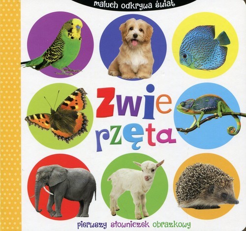 okładka Zwierzęta. Maluch odkrywa świat. Pierwszy słowniczek obrazkowy książka